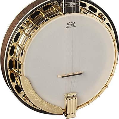 Washburn Americana Series B17K-D 5 String Banjo Sunburst image 2
