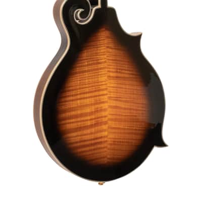 Gold Tone GM-70+/L Professional Craved Solid Spruce Top Maple Neck F-Style Mandolin For Left Hand Player image 2