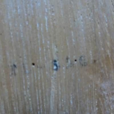 Fender TL-52 Telecaster  Vintage Reissue Japan Flame V Neck,spectacular grain body 7.2 pounds image 15