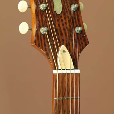 Epiphone ZENITH image 8