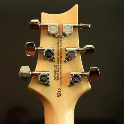 PRS SE Custom 24 w/ Bird Inlays - Blue Flame Top image 7