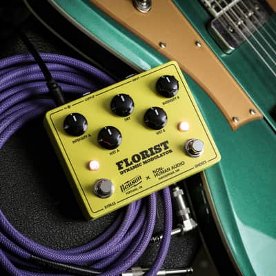 Benson Amps / Non-Human Audio Florist Dynamic Modulator image 9