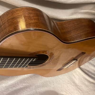 Shadowfax (Matt Jacobs) Concert Classical Guitar 2015 - Cedar/Rosewood image 12