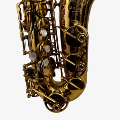 Selmer Mark VI 171xxx Alto Saxophone FRESH FULL OVERHAUL! image 20