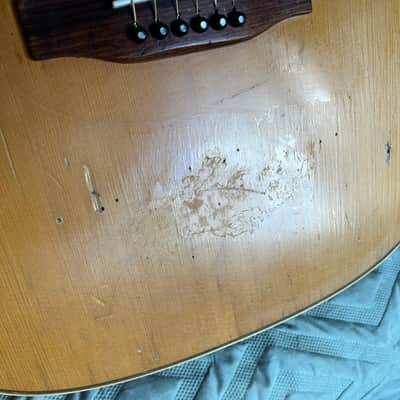 Rare Vintage  (1979) Hofner Dreadnought Acoustic Guitar - 489? image 9