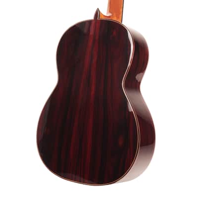 Manuel Adalid Special Edition Catedral X Anniversary - Cedar/Spruce Double top with Rose de Bois back/sides image 8