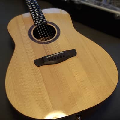 Peterson D-100 MY (2021) USA Handbuilt Boutique Acoustic Dreadnought - Fishman Matrix Infinity, OHSC image 1