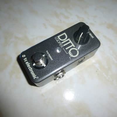 TC Electronic Ditto Looper 2013 - Present - Black image 1