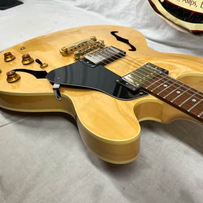 Epiphone Dot Deluxe Semi-Hollow Body Electric Guitar image 16