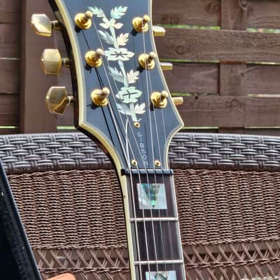 Epiphone Sheraton II 1999 - Awesome Inlays!! image 12