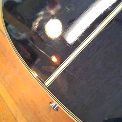 Takamine EG560C Mini-Jumbo Acoustic-Electric Blue image 12