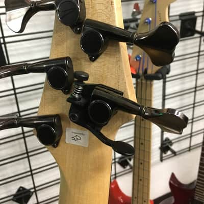 Dingwall Leland Sklar 5-String Bass image 4