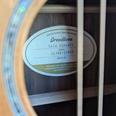 Breedlove Solo Concert Acoustic Guitar 2016 image 9