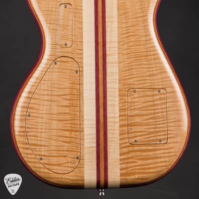 Alembic Further 6 Buckeye Burl - Resin Top #F15036 Bild 4