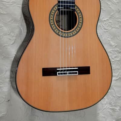 Aiersi all solid wood lattice braced guitar image 1