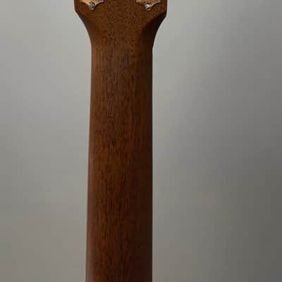 Bedell Breedlove Brazilian Rosewood Brand New With Cities passport image 8