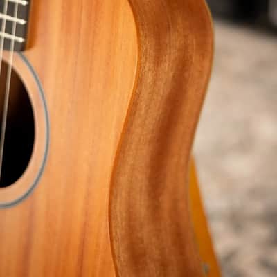 Taylor BT2 Mahogany Acoustic Guitar with Gig Bag image 12