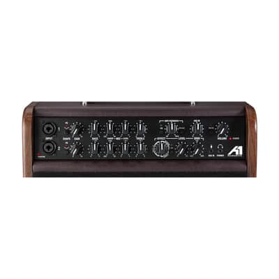 Laney Acoustic Guitar Amp Combo 1x8 FX 60W A-SOLO image 5