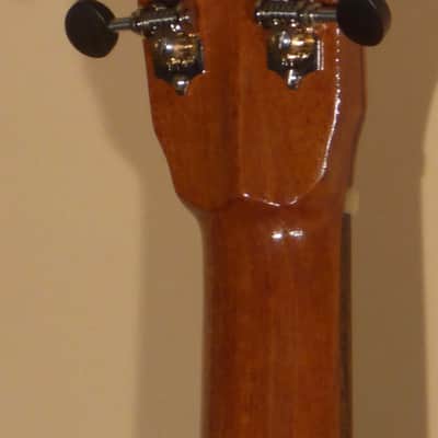 New Huckabee "Beargrass Bloom" 12-fret L-0 image 7
