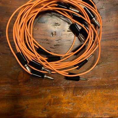 Buchla Skylab case 200e 200r Full System with Extra Modules and Cables image 13