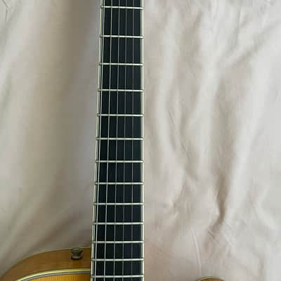 Andersen Model 17' Archtop image 5