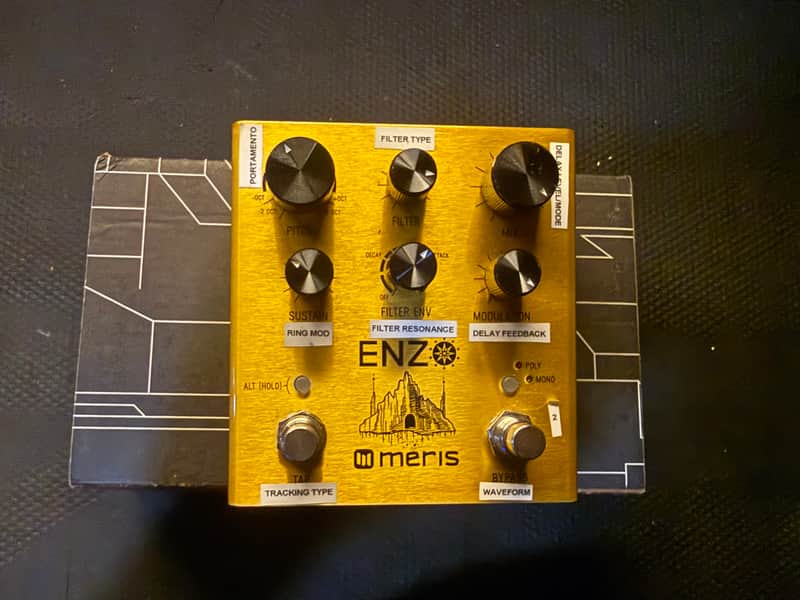Meris Enzo 2018 - Gold image 1