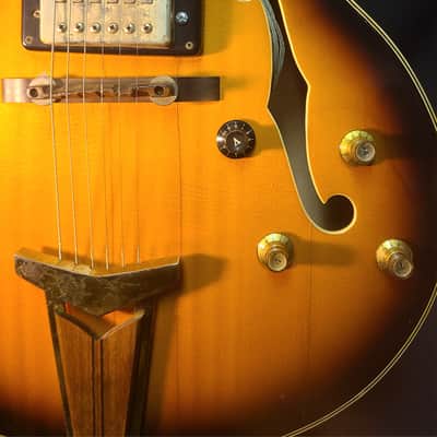 Raven Archtop Electric 1960's or early 70's - Tobacco brown sunburst image 9
