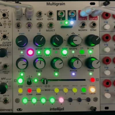 Intellijel Multigrain Eurorack Synth Module | Reverb