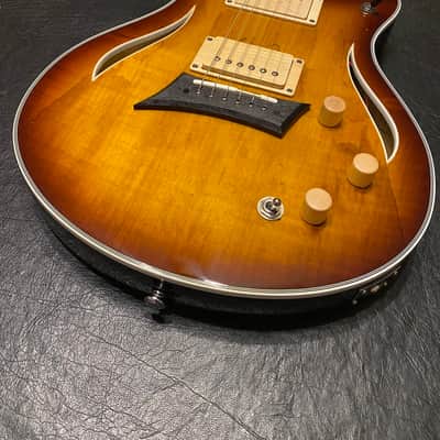 Michael Kelly Spalted Hybrid E/A 2025 - Spalted Burst image 2