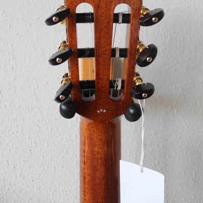 Brand New Cordoba Stage Artist Series Acoustic/Electric Classical Guitar - Habano Burst image 7