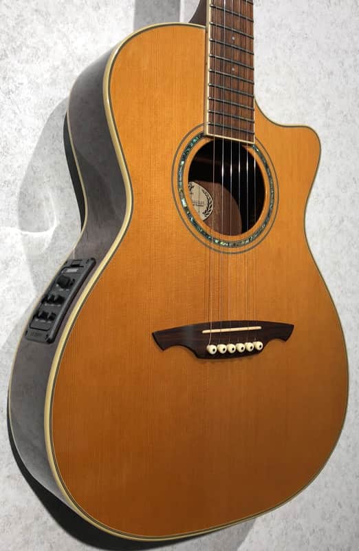 Immagine Wechter NV5413ce Natural - 1