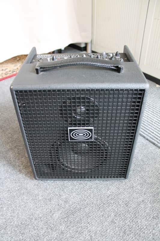 Immagine Schertler David 100 watt Acoustic Amplifier - 1