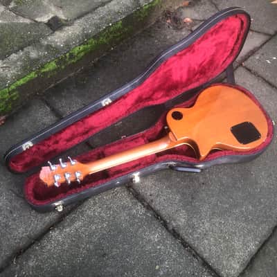 Guild Bluesbird image 13
