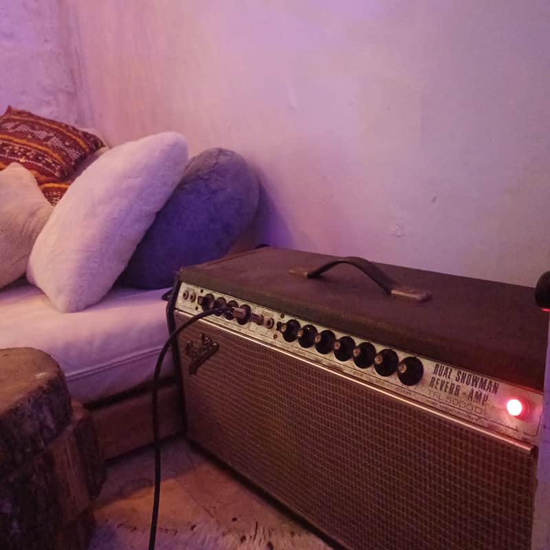 Fender Dual showman reverb 1968 - TFL 500000 (silver face) image 1