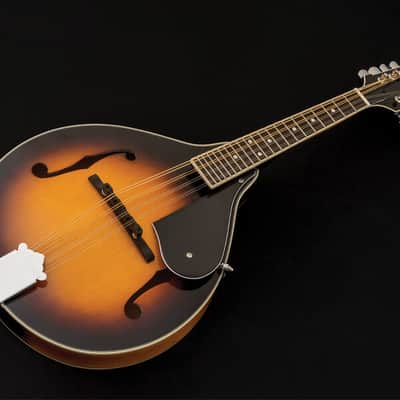 Washburn M1 Pack | Americana Series A-Style Mandolin Pack. Sunburst. New with Full Warranty! image 9