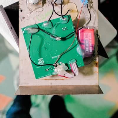 BIG DAWG STOMPS Custom Shop master built Lizard Queen Octave Distortion 2023 - Relic image 8