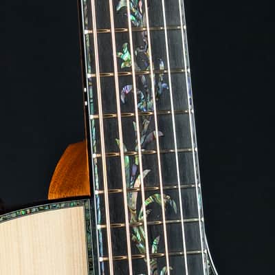 Taylor PS14ce Presentation Series Honduran Rosewood and Adirondack Spruce with Pickup Used (2025) image 10