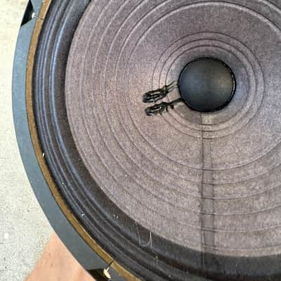 Jensen C8R 8-inch 25-watt Vintage Ceramic Guitar Amp Speaker - 8 ohm image 5