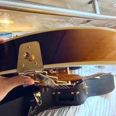 Carlo Robelli D-120 Peerless Semi-Hollow Guitar w Case image 5