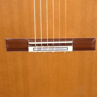 Manuel Adalid Special Edition Catedral X Anniversary - Cedar/Spruce Double top with Rose de Bois back/sides image 16