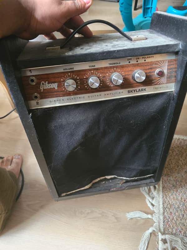 Gibson Skylark tremelo 1966 image 1