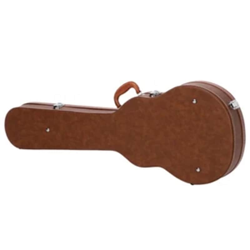 New Brown Les Paul case 2026 image 1
