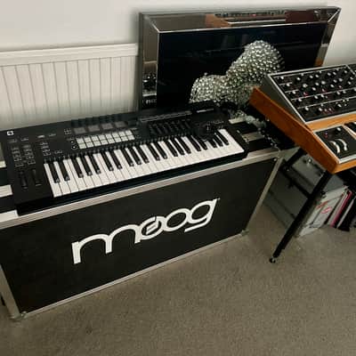 Moog ONE - ATA Road Case for Moog One - Great Condition image 2