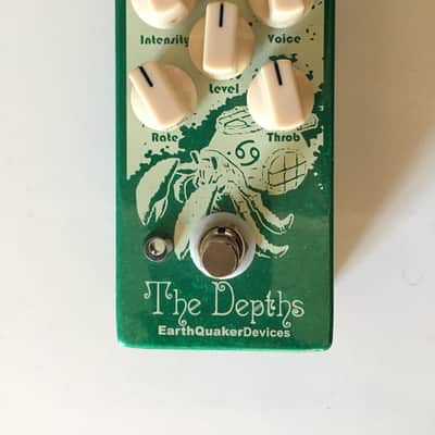Earthquaker Devices The Depths Owned by Eric Cannata of Young The Giant image 1