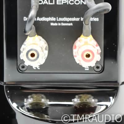 Dali Epicon 8 Floorstanding Speakers; Gloss Black Pair image 7