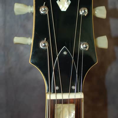 Video Demo 1978 Vintage Japan  Lawsuit Penco E-20N 335 Flamey Body Pro SEtup New  Hard Shell Case image 6