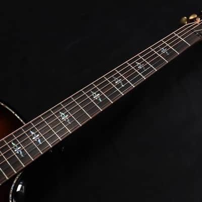 Taylor Builder's Edition 914ce LTD Macassar 039 image 2