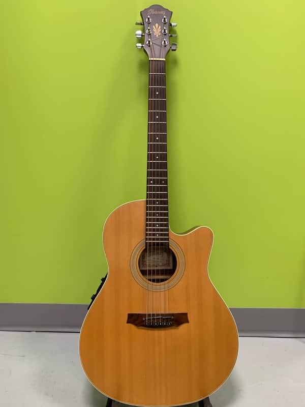 Ibanez AE20 Natural 2000 Bild 1