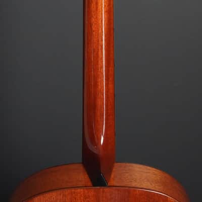 Thompson TM-1 1996 - Natural image 9