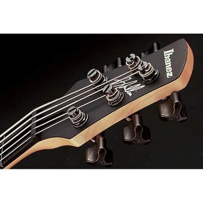 Ibanez GWB35BKF Gary Willis Signature Fretless 5-string Bass - Black Flat image 4